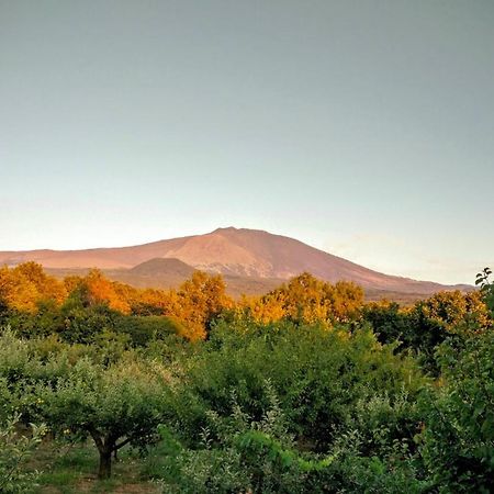 Mount Etna Chalet Maletto Экстерьер фото