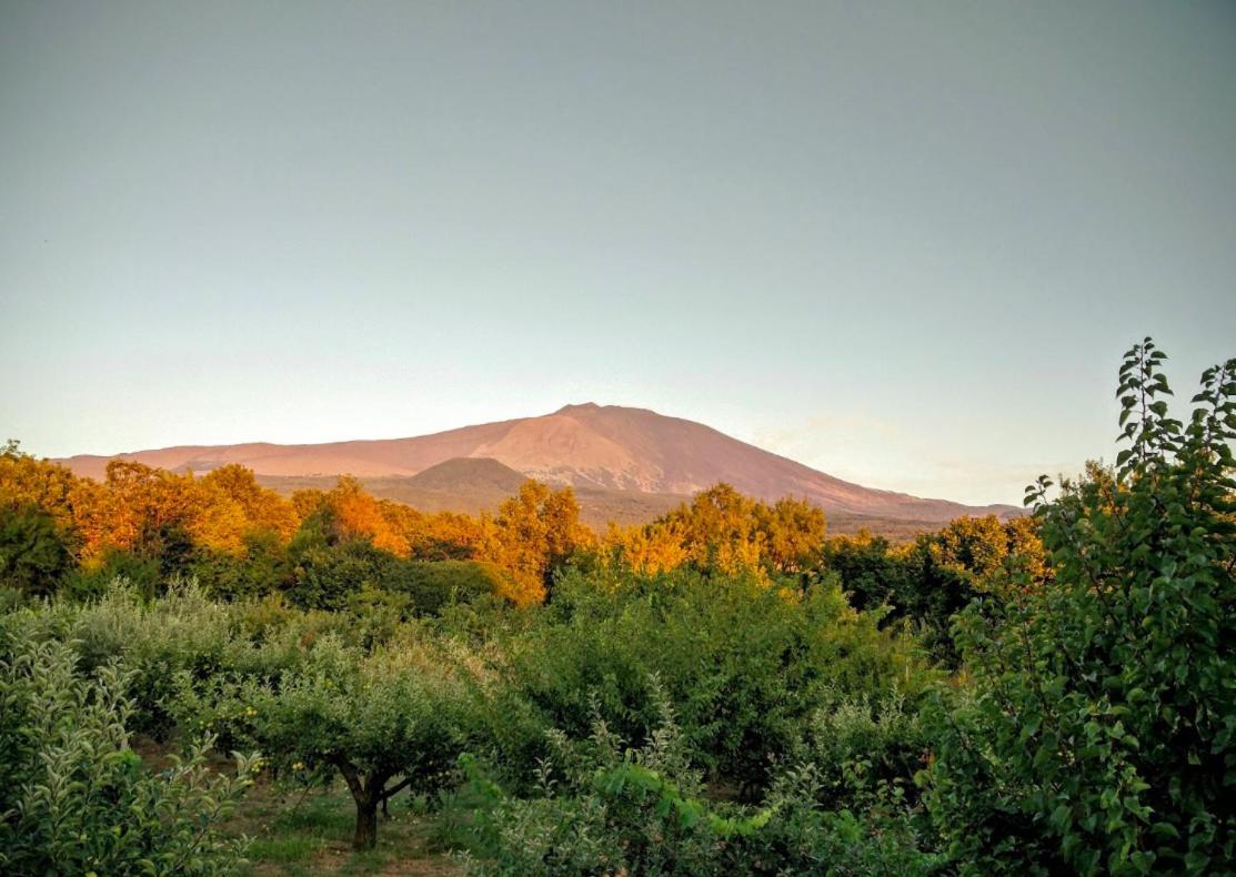 Mount Etna Chalet Maletto Экстерьер фото
