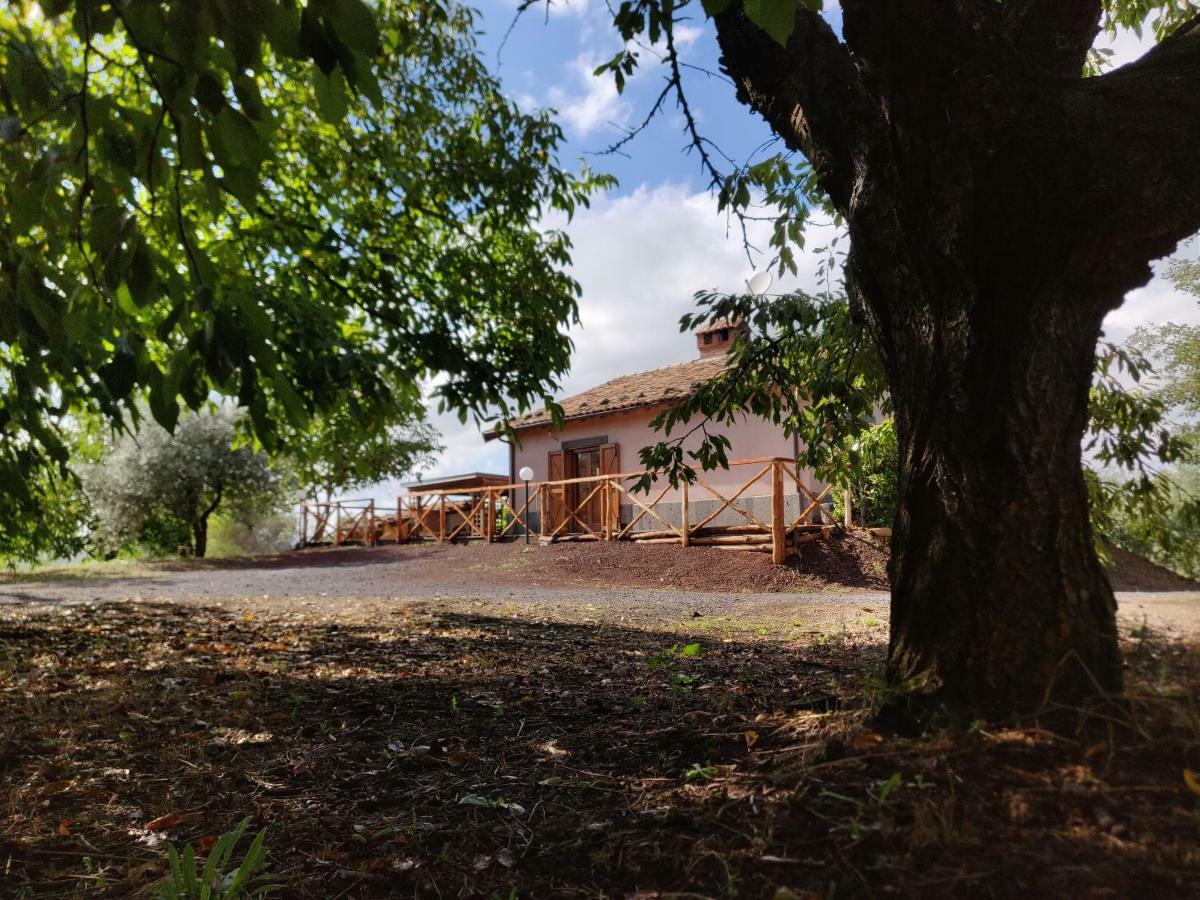 Mount Etna Chalet Maletto Экстерьер фото