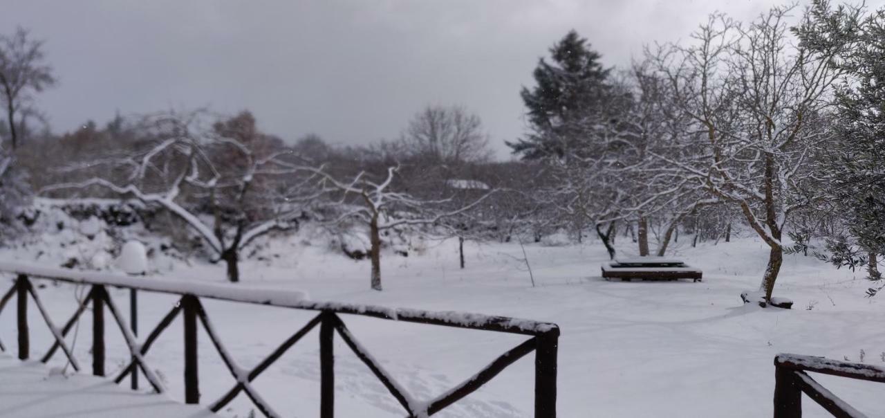 Mount Etna Chalet Maletto Экстерьер фото